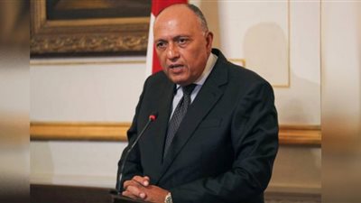 سامح شكري يستقبل وزير الخارجية والتعاون الدولي الجامبي