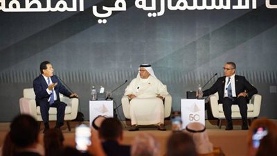 مجلس الأعمال المصري الإماراتي يواجه معوقات المستثمرين