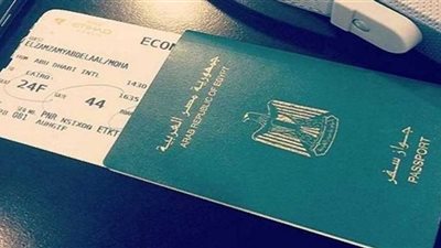 الهجرة تتلقى 7157 شكوى من أبناء مصر في الخارج خلال عام