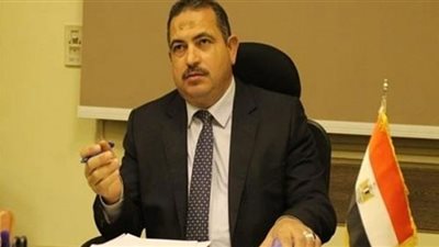 الشافعي: انخفاض أسعار السلع يرتبط بإجراءات الحكومة داخل الأسواق