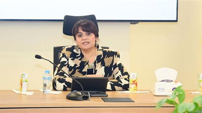 وزيرة الهجرة : الإمارات بالنسبة لمصر بمثابة شريك حياة