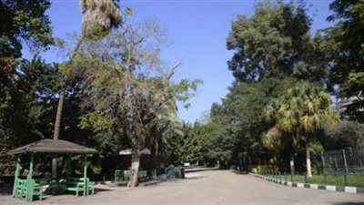 مصير النباتات والأشجار النادرة بعد تطوير حديقتي الحيوان والأورمان