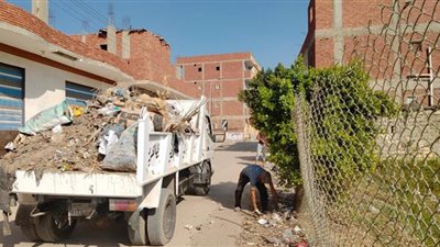 رفع 100 طن قمامة.. التل الكبير وأبو صوير تتزين بأعمدة الإنارة