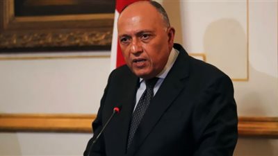 شكري يستقبل وزير الخارجية الصومالي ومدير عام القوة متعددة الجنسيات