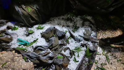 الطقس في القاهرة.. المصريون يحتفلون بتساقط الثلوج