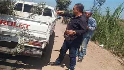 الشرقية تواصل زراعة الأشجار المثمرة وخفض الإنارة بأعمدة الكهرباء