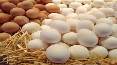 أسعار البيض في المزارع