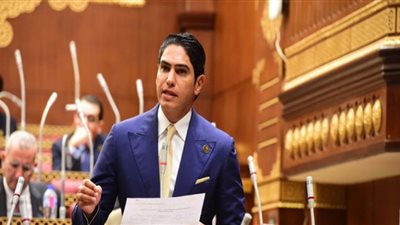 أبو هشيمة: وجدنا 30 مفهوما للاقتصاد غير الرسمي