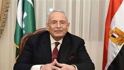 بهاء أبوشقة يطالب بتفعيل مواد الدستور لدمج الشباب في الاقتصاد غير الرسمي