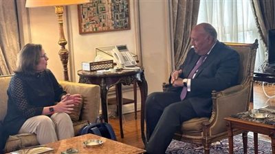 وزير الخارجية يستقبل مدير عام القوة متعددة الجنسيات