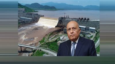 سامح شكري يكشف سبب رفض مصر إلغاء اتفاقية مباديء سد النهضة.. فيديو