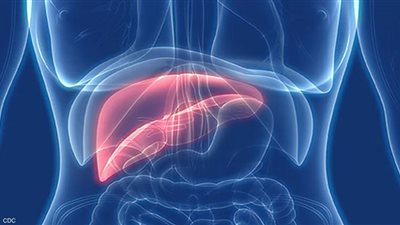 أعراض الإصابة بالالتهاب الكبدي B (انفوجراف)