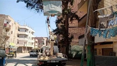 الشرقية تكثف جهودها لزراعة الأشجار المثمرة وخفض الإنارة