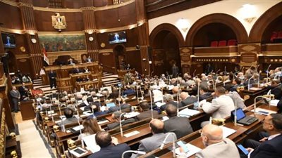 صحة الشيوخ توصي بالدعم الكامل للملف الصحي بالمنيا