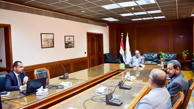 وزير الري يستعرض جهود حماية شواطئ الإسكندرية
