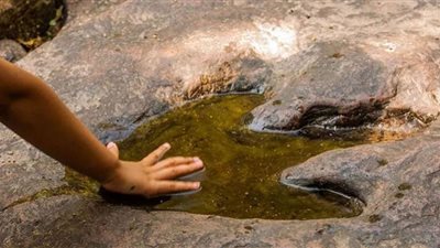 الجفاف يكشف المستور.. آثار ديناصور وأحجار الجوع