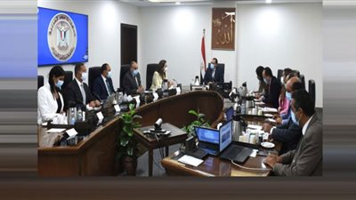 الحكومة تستهدف جذب استثمارات أجنبية مباشرة الفترة المقبلة