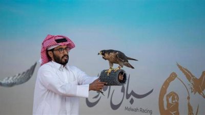صقور السعودية تتسابق والجوائز تصل لـ 25 ألف ريال