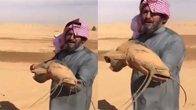 العثور على نوع نادر من الأسماك يعيش فى صحراء السعودية