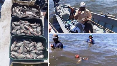 مصر الثالثة عالميًا في إنتاج السمك البلطي