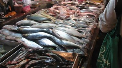ارتفاع أسعار الأسماك في الأسواق يحيّر المواطنين