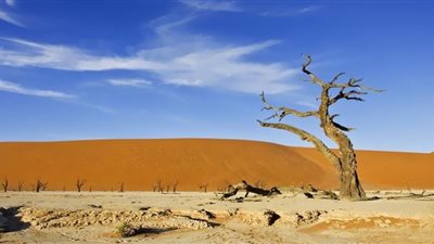 مخاطر ارتفاع الحرارة وتزايد الجفاف .. دراسة تكشف الكارثة