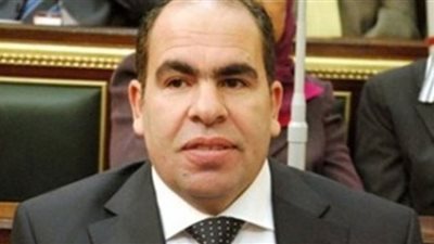 برلمانية الوفد بالشيوخ توافق على قانون تنظيم الاتصالات
