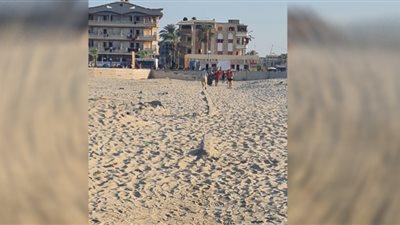 جمصة تشكو الإهمال.. والمصطافون: الوصول للشاطئ معاناة يومية