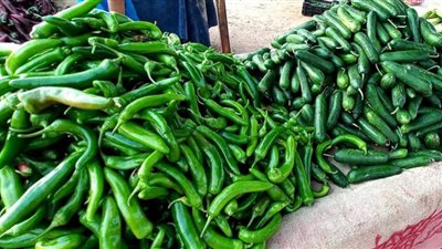 انخفاض أسعار الخضروات والفاكهة بأسواق الفيوم