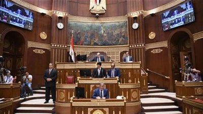 أكمل نجاتي يعلن موافقته على تعديلات 