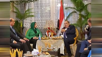 محمود محي الدين في صالون