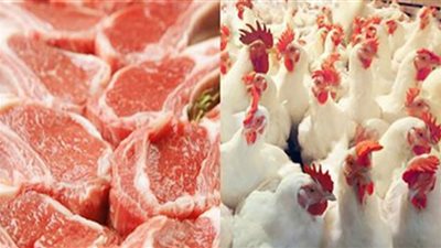 اللحوم تلاحق الدواجن في الارتفاع والكيلو يصل إلى 250 جنيهًا