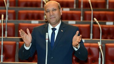 النائب عمرو عكاشة يشيد بتوجيهات الرئيس باستكمال تنمية بحيرة المنزلة