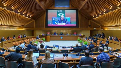 محيي الدين: مصر لديها مبادرة لتنفيذ مشروعات خضراء ذكية تحافظ على البيئة