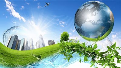 مصر تنافس دول العالم في مكافحة تغير المناخ بأشجار المانجروف