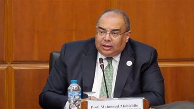 محيي الدين: مصر رائدة في ملف الطاقة الشمسية