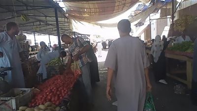 استمرار الحملات التفتيشية على سوق الخضار ومنافذ بيع الدواجن بالقصير