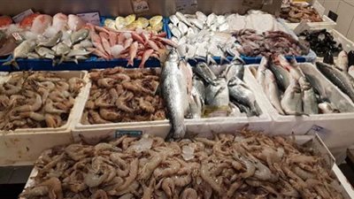 أسعار السمك اليوم الإثنين في الأسواق المصرية