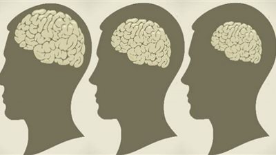 حل الكلمات المتقاطعة يبطئ تقلص الدماغ