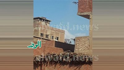 فزع في أوسيم بعد محاولة شاب إنهاء حياته.. فيديو وصور