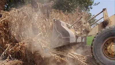 محافظ بني سويف: إزالة 351 حالة تعد ضمن الموجة الـ 20