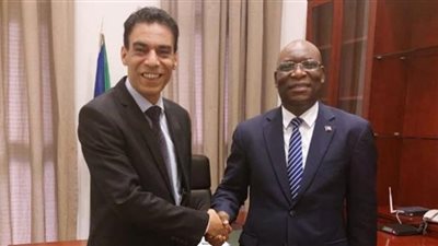 سفير مصر في مالابو يلتقي وزير خارجية غينيا