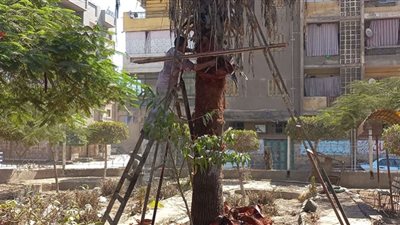 محافظ الدقهلية يتابع أعمال تحسين مستوى النظافة ورفع القمامة