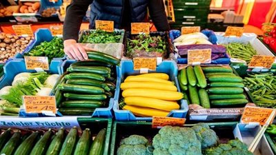 حالات ممنوعة من تناول الكوسا