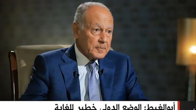أبوالغيط يصف الربيع العربي بالتدميرالشامل لدول المنطقة (فيديو)