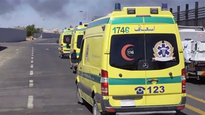 عاطل يطعن صديقه بآلة حادة في حلوان والسبب صادم