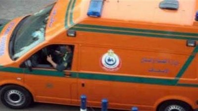 شقيقان يشرعان في قتل عجوز بطما