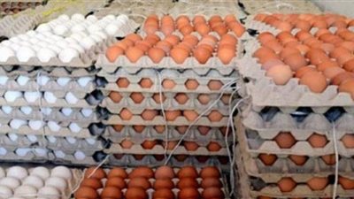 أسعار البيض في بدابة تعاملات الأسبوع