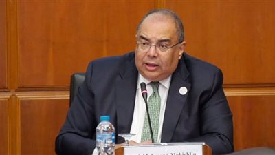 محيي الدين: ضرورة تعبئة المزيد من التمويل العام للتكيف المناخي