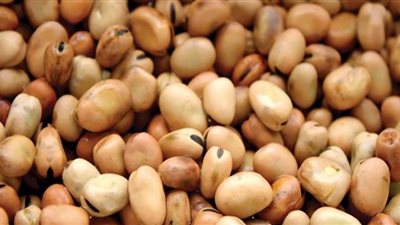 قفزة كبيرة في أسعار الفول اليوم بالأسواق